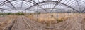 panorama abandoned old greenhouse