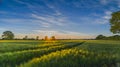 Panorama view of beautiful countryside scene cultivated fields against blue cloudy sky with sunset. Rural landscape with green whe Royalty Free Stock Photo