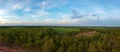 Panorama aerial view from drone Reforestation of eucalyptus for Royalty Free Stock Photo