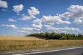 Panorama of an agriculture wheat field. Wheat field on an agriculture farm Royalty Free Stock Photo