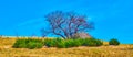 Panorama of Alpe Vicania montane meadow, Vico Morcote, Switzerland Royalty Free Stock Photo