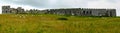 Panorama of amazing ruins of old gothic castle in Nothern Ireland. Green field with grazing sheep Royalty Free Stock Photo