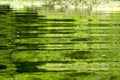 Panorama from Amazon rainforest, Brazilian wetland region. Royalty Free Stock Photo