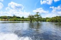 Panorama from Amazon rainforest, Brazilian wetland region Royalty Free Stock Photo