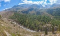 Panorama of ancient glacial moraine cross by a stream and covered with larches