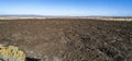 Panorama of the ancient lava flows at Devils Homestead at the Lava Beds National Monument, California, USA