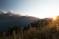 Annapurna mountain range and grass field at sunrise, Nepal Royalty Free Stock Photo