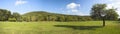 Panorama with apple tree Royalty Free Stock Photo