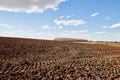 Panorama of arable land and blue sky with white clouds in a sunny day Royalty Free Stock Photo
