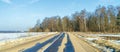 Asphalt road in early spring near the forest.