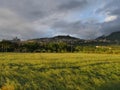 Panorama of Assisi Royalty Free Stock Photo