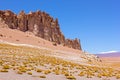 Natural beauty of a vast desert grassland at the foot of whimsical rock formations and majestic mountains with snow tops in the di