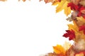 Panorama Autumn Colorful watercolour Background. Vector illustration design