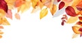 Panorama Autumn Colorful watercolour Background. Vector illustration design