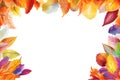 Panorama Autumn Colorful watercolour Background. Vector illustration design