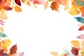 Panorama Autumn Colorful watercolour Background. Vector illustration design