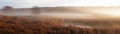 Panorama of autumn fog in the early morning over the bushes in front of the forest Royalty Free Stock Photo