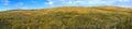 Panorama of Autumn Hills near Fairbanks, Alaska Royalty Free Stock Photo