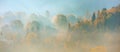 Panorama of autumn mountains, yellow trees on a mountain hills. Morning fog in valley between mountain slopes Royalty Free Stock Photo