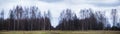 Panorama of autumn nordic landscape. Grey sky. Trees without foliage and yellow-brown grass.