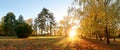 Panorama of autumn tree in forest park at sunset Royalty Free Stock Photo