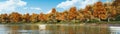 Panorama of autumn trees on forest lake shore 3D Royalty Free Stock Photo