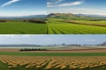 Panorama background of fields and meadows in different seasons ai generated Royalty Free Stock Photo