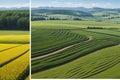Panorama background of fields and meadows in different seasons ai generated Royalty Free Stock Photo