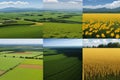Panorama background of fields and meadows in different seasons ai generated Royalty Free Stock Photo