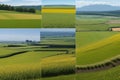 Panorama background of fields and meadows in different seasons ai generated Royalty Free Stock Photo