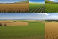 Panorama background of fields and meadows in different seasons ai generated Royalty Free Stock Photo