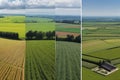 Panorama background of fields and meadows in different seasons ai generated Royalty Free Stock Photo