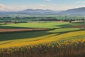 Panorama background of fields and meadows in different seasons ai generated Royalty Free Stock Photo