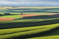 Panorama background of fields and meadows in different seasons ai generated Royalty Free Stock Photo