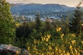 Panorama of Baden-Baden