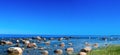 Panorama Baltic Sea Royalty Free Stock Photo