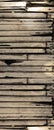 Panorama bamboo wood background