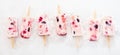 Panorama banner with frozen yogurt berry popsicles Royalty Free Stock Photo