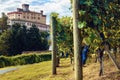 Panorama of Barolo piedmont,Italy Royalty Free Stock Photo