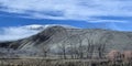 Panorama of barren trees and mountains Royalty Free Stock Photo