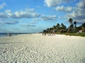 Panorama Beach at the Gulf of Mexico in the Town Naples, Florida Royalty Free Stock Photo