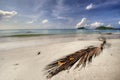 Panorama of beach of Koh Mak