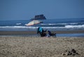 Panorama Beach at the Pacific Coast, Oregon Royalty Free Stock Photo