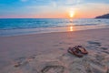 Panorama beach sunset with the traveler swimming i Royalty Free Stock Photo