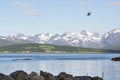 Panorama on the beaches of Tromso Royalty Free Stock Photo