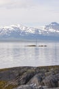 Panorama on the beaches of Tromso Royalty Free Stock Photo