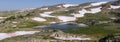 Panorama of the Beartooth Mountains Royalty Free Stock Photo