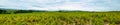 Panorama of the Beaujolais landscape, France