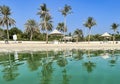 Panorama beautiful Al Mamzar beach with white sand and palms Royalty Free Stock Photo