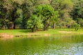 Panorama beautiful city park em Sao Paulo Royalty Free Stock Photo